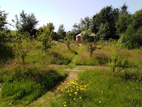 The yurt field during summer