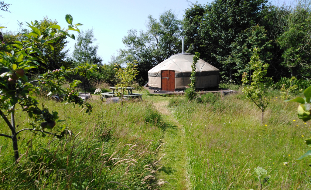 Luxury Glamping Yurt